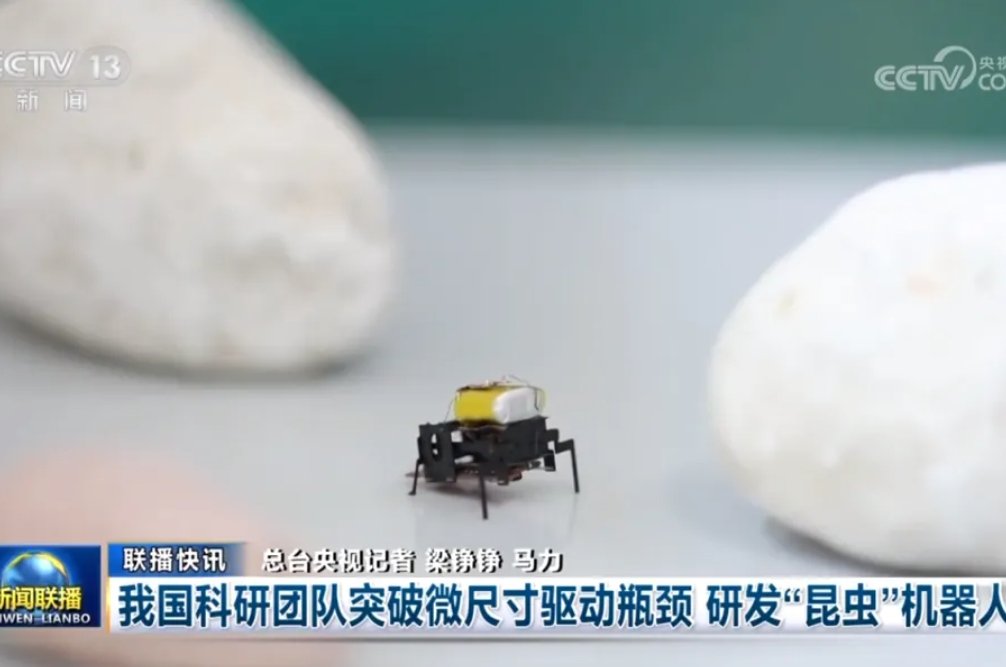 在峥嵘岁月中诞生